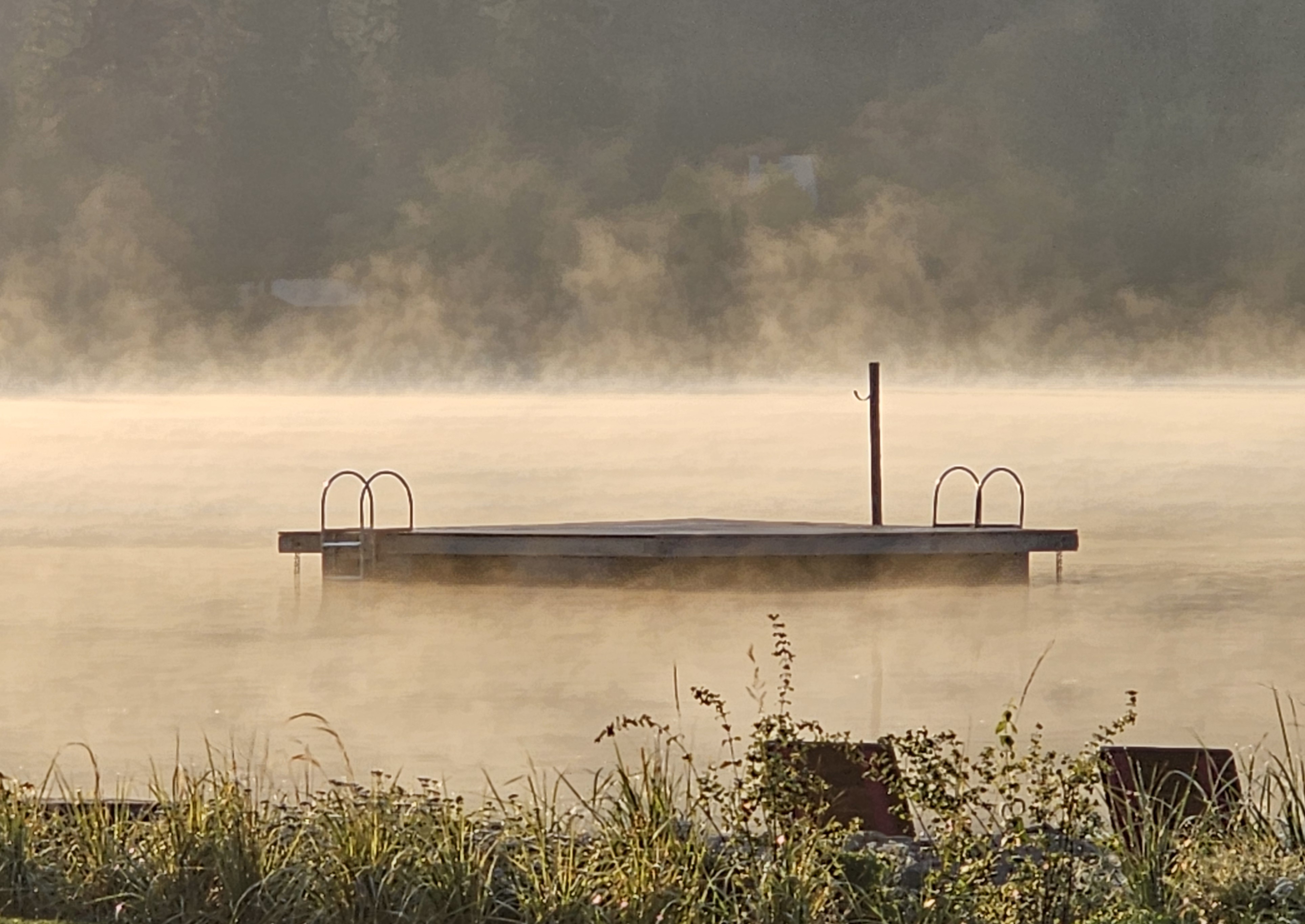 Mist